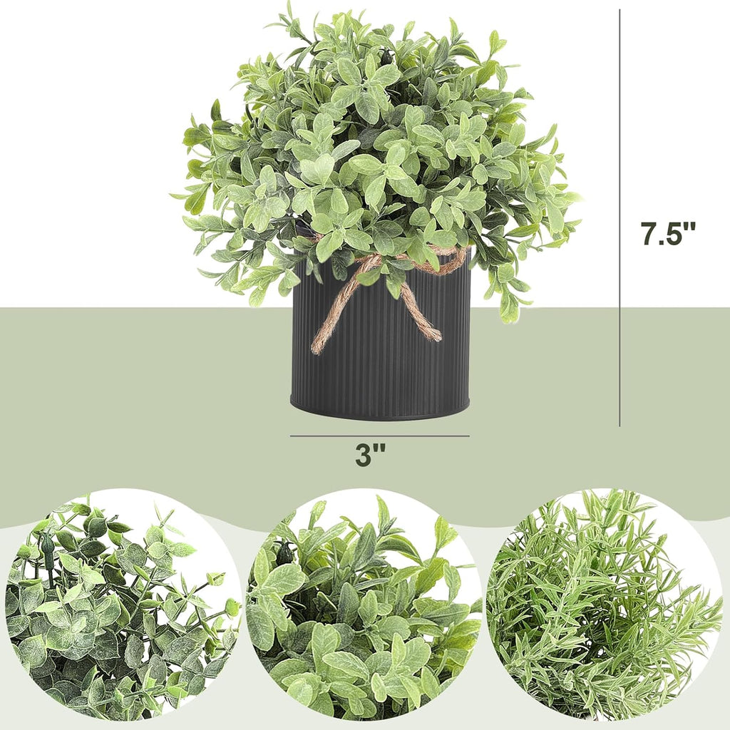 Mkono 3 Pack Small Fake Plants in Black Galvanized Metal Pots Artificial Eucalyptus Plants for Christmas Decorations Shelf Desk Home Farmhouse Room Coffee Table Bathroom Decor