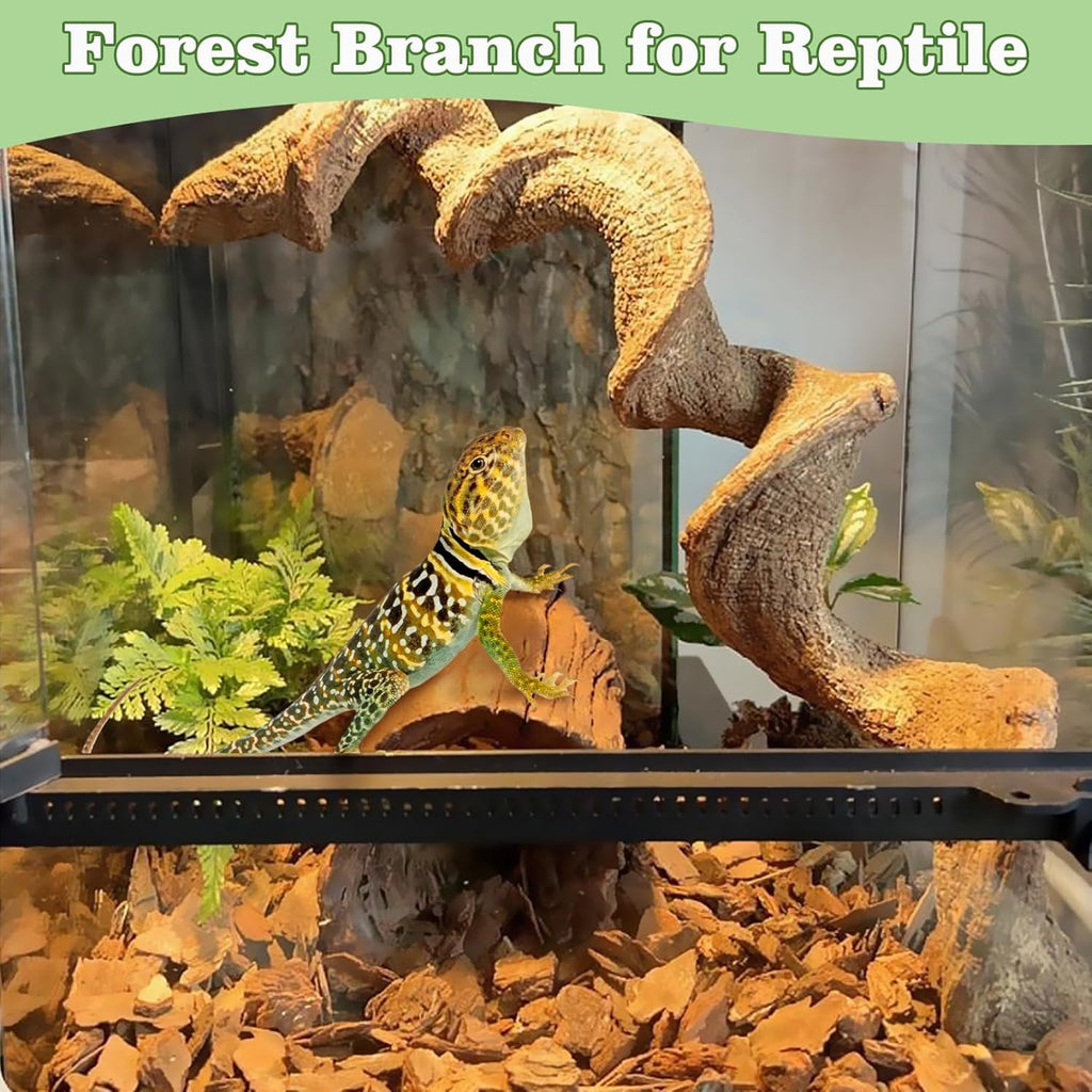 Reptile Climbing Decor 2 Pack Thick Wood Branches Snake Habitat Decorations Terrarium Wooden Tree Trunk Ornament for Bearded Dragon Lizard Snake Geckos Chameleon Frog