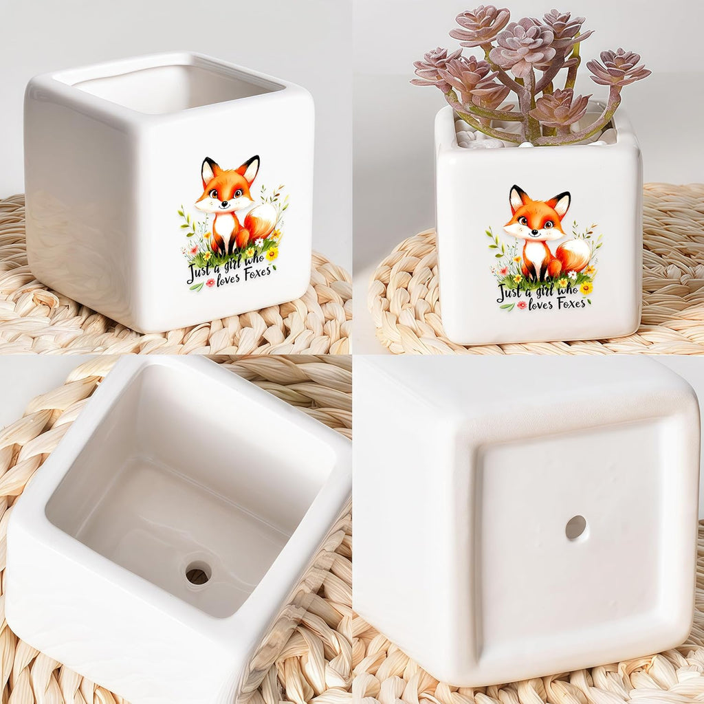 Fox Succulent Planter Flower Plant Pot Small, Gifts for Women Teens Girls Kids, Fox Lovers Themed Stuff Accessories Things Decor Merch, Home Office Table Desk Decoration!