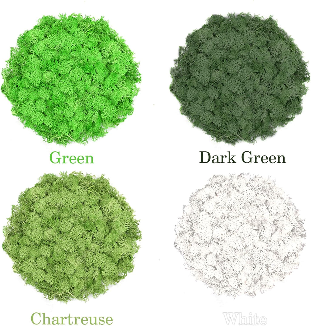 Preserved Reindeer Moss 14 OZ 4 Colors for DIY Gift, Potted Plants,Craft Wall Art,Festive Home Decorative Christmas(Green, Dark Green, Chartreuse and White, Each Color 3.5 OZ)