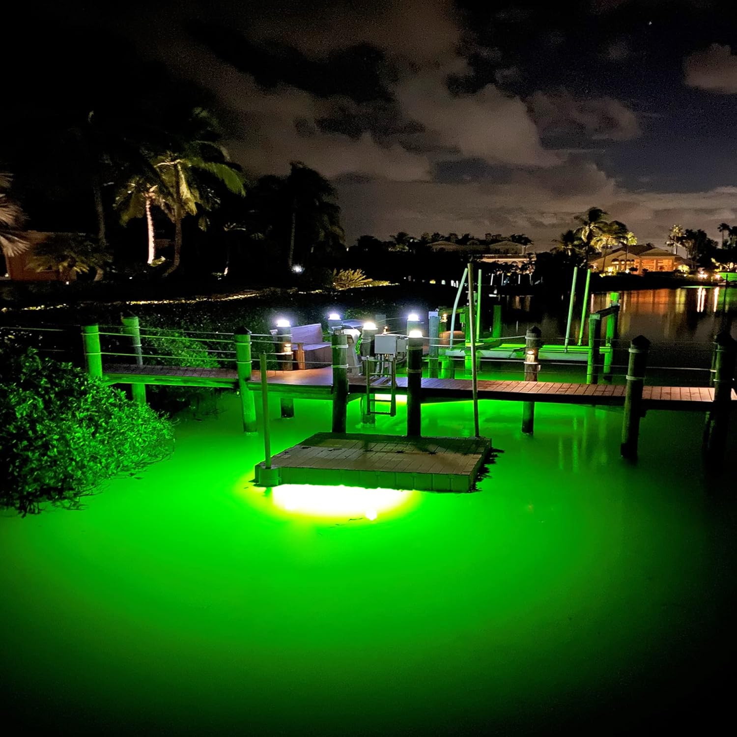 Underwater Fish Light 175W Quad Light for Docks with 50’ of Marine Grade Wire, Easy to Install, Dusk to Dawn Operation, Salt or Fresh Water, Guaranteed to Attract Fish