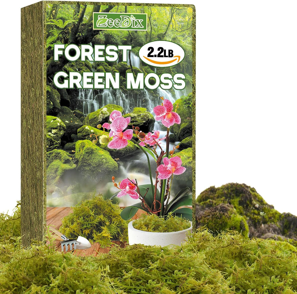 ZeeDix 2.2 lbs Forest Moss for Plants Indoor - Dried Orchid Moss for Repotting, Natural Green Sphagnum Moss for Potted Plants Carnivorous Monstera Succulents Crafts Reptile Habitat (Expands to 40 qt)