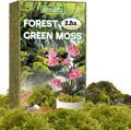 ZeeDix 2.2 lbs Forest Moss for Plants Indoor - Dried Orchid Moss for Repotting, Natural Green Sphagnum Moss for Potted Plants Carnivorous Monstera Succulents Crafts Reptile Habitat (Expands to 40 qt)