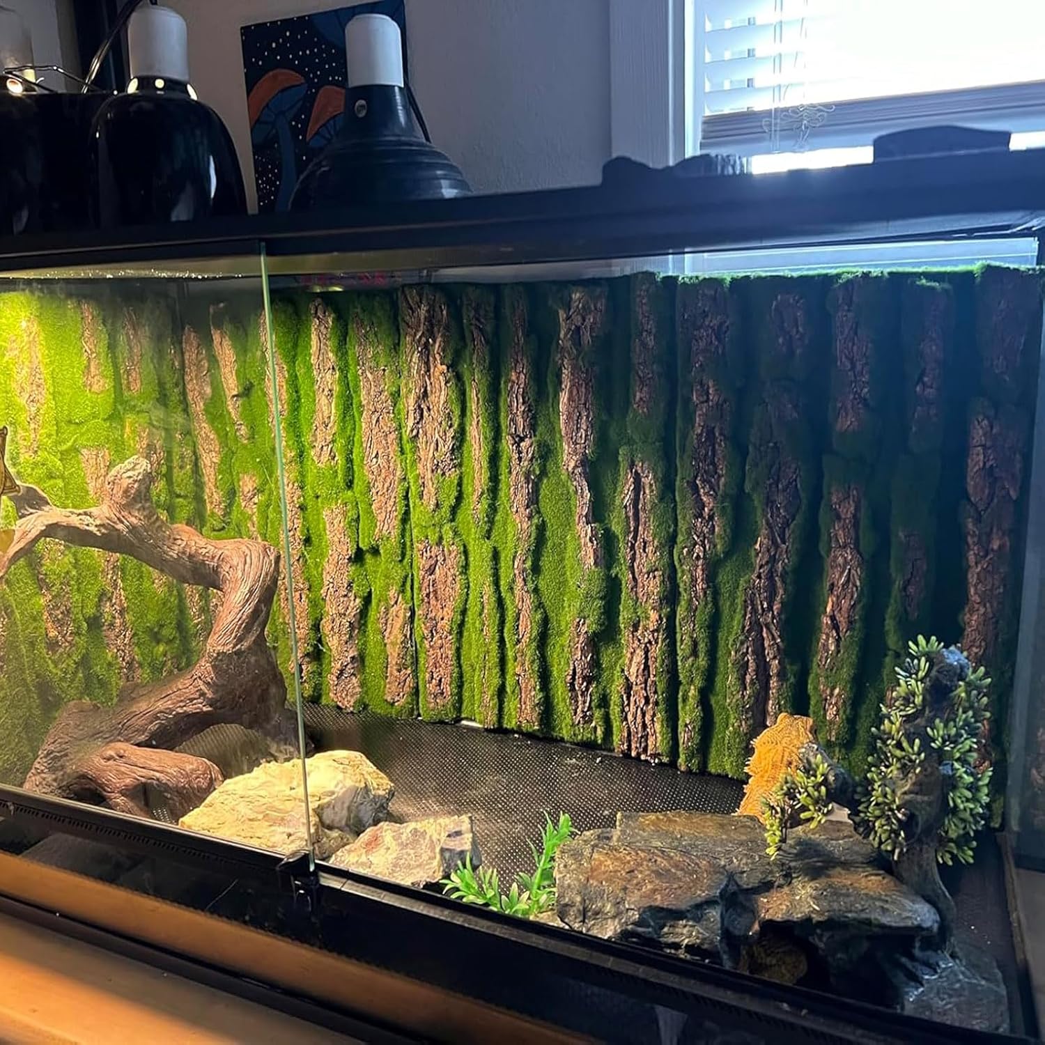 PINVNBY Reptile Cork Terrarium Background,Bearded Dragon Tank Natural Bark Backdrop Wall Habitat Decor with Artificial Moss,15.75"×11.8" Reptile Carpet for Gecko Lizard Tortoise Frog Chameleon(1 Pack)