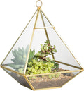 NCYP Geometric Glass Terrarium for Succulent, Air Plants - 5.9x5.9x7.87 Inches - Wall Hanging Glass Planter Pot, Home Garden Tabletop Decoration, Gold (Terrarium Only)