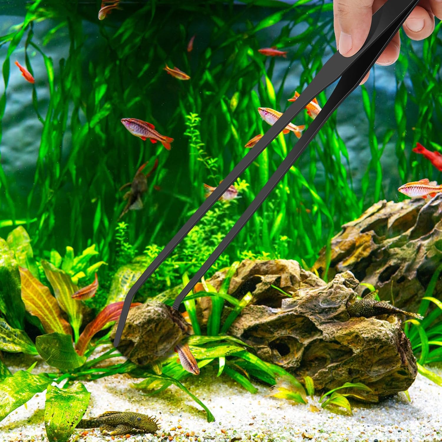 2pc-10.6"Aquarium Tweezers,Stainless Steel Straight and Curved Tweezers Set,Long Handle Reptile Feeding Tongs for Lizards, Bearded Dragon Snake Tank Accessories (Black)
