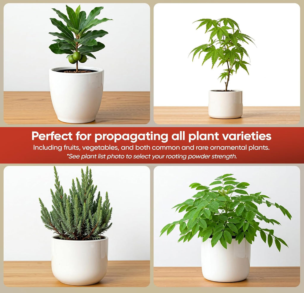 Hormex Rooting Hormone #16 - Highest-Potency Rooting Powder for Hard-to-Root Woody Plants & Tree Cuttings | Ensures Propagation Success for Difficult Plants (1.6% IBA)