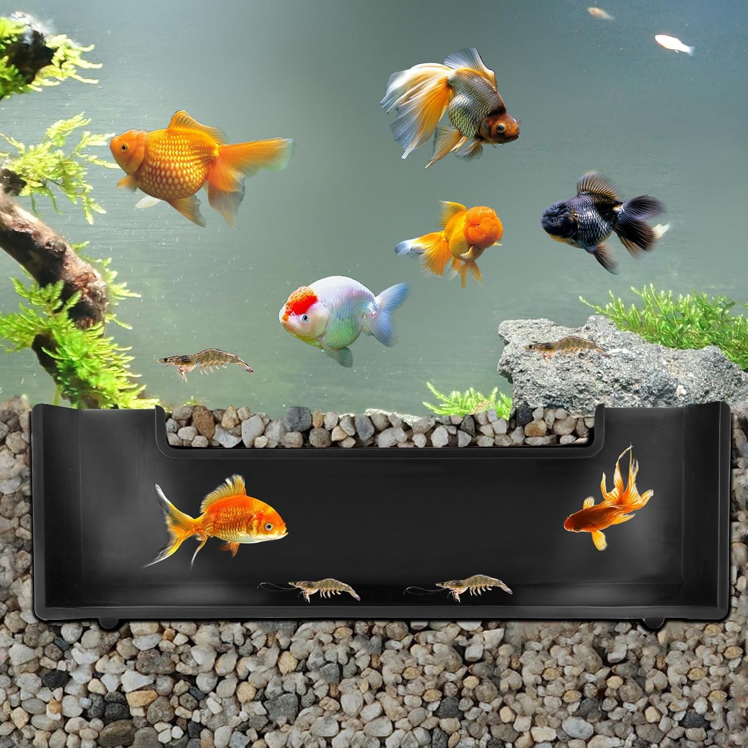 Shrimp Cave Aquarium Tunnel, Aquarium Decor Habitat Decoration, Black Plastic, Modern, Corydora Catfish, Kuhli Loach, Clown Cory Shrimp, Fish, 0.5"D x 2.5"W x 1.5"H