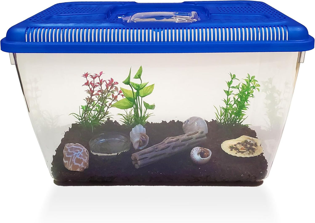 2 Live Crabs Ship with Order+Large Hermit Crab Tank 12"x8"x6" Starter Kit with Accessories: Food, Shells, Climbing Toys and More