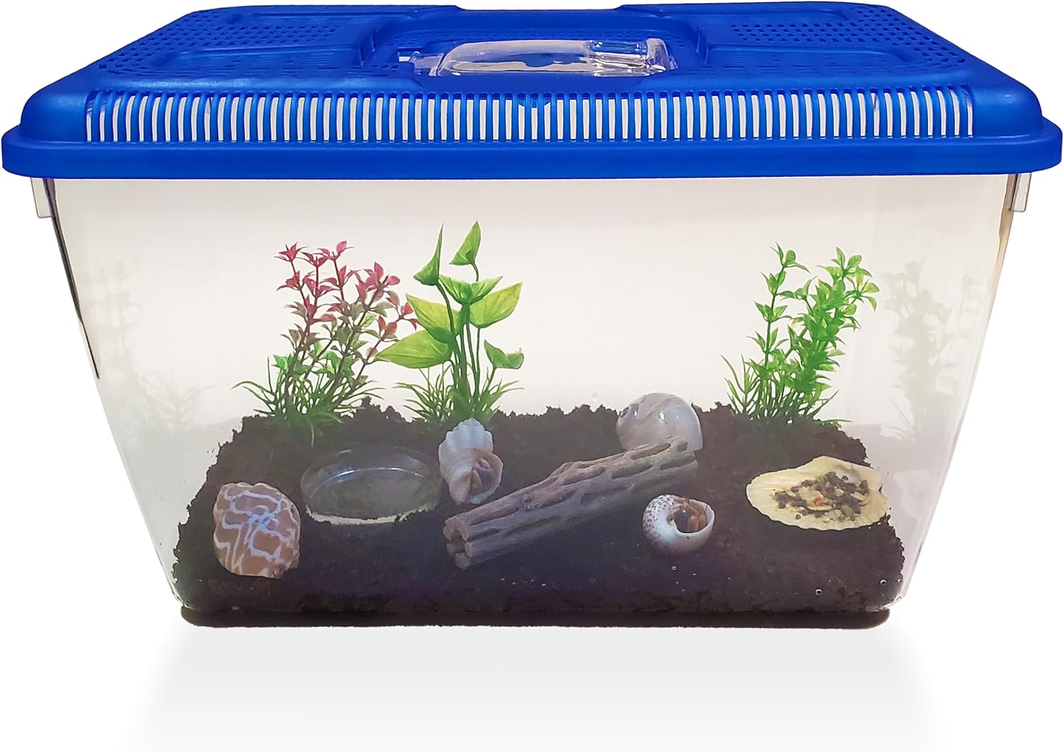 2 Live Crabs Ship with Order+Large Hermit Crab Tank 12"x8"x6" Starter Kit with Accessories: Food, Shells, Climbing Toys and More