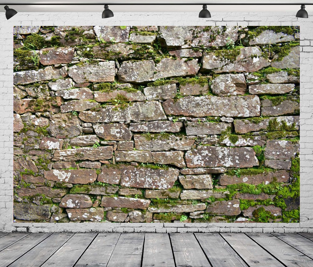 CapiSco Vintage Brick Stone Wall Backdrop 7x5FT Vintage Textured Stone Ancient Rock Wall Castle Wall Overgrown Wall Green Leaf Background Medieval Castle Mossy Stone Wall for Party Decorations