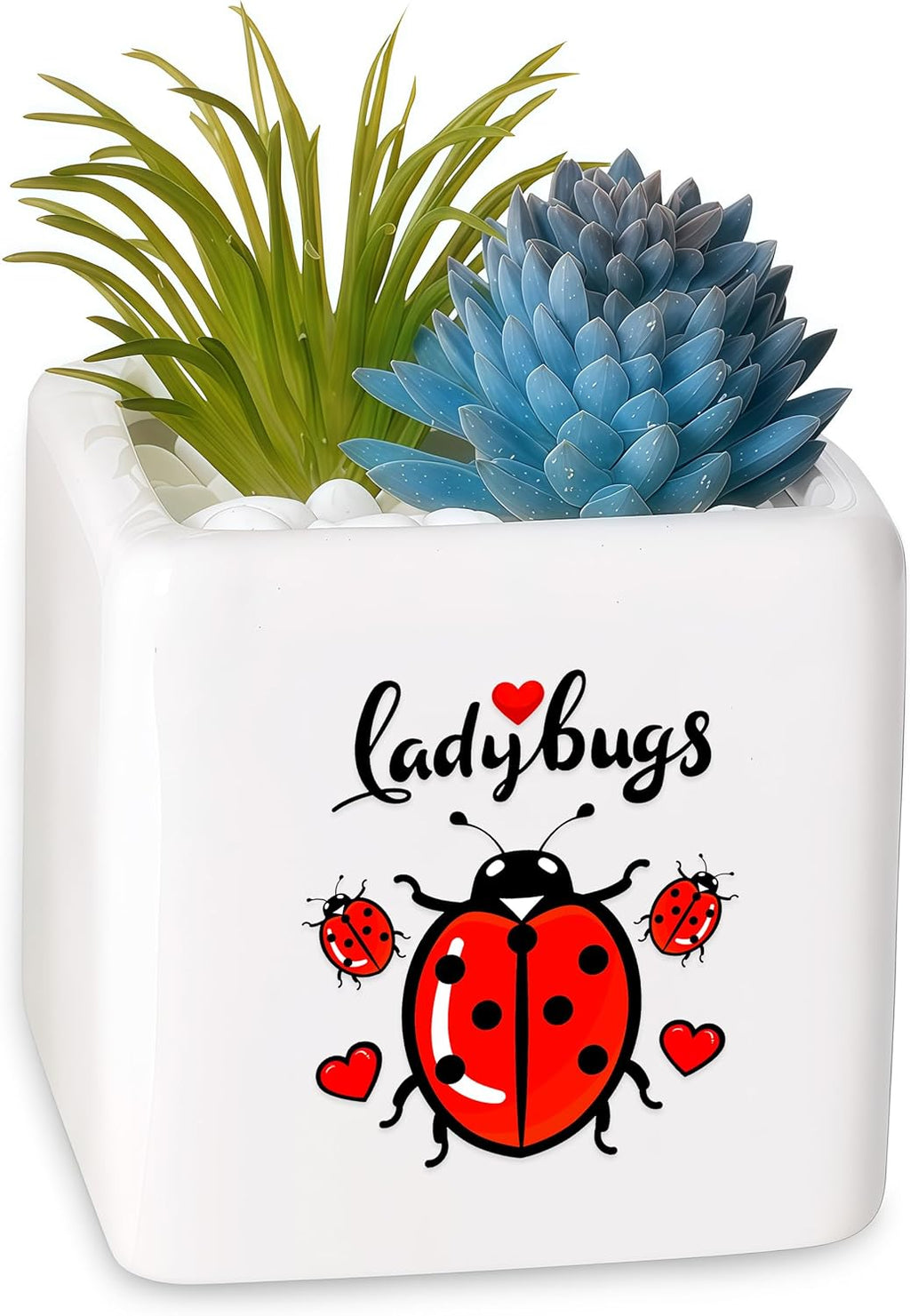 Ladybugs Succulent Planter Flower Plant Pot Small, Gifts for Women Teens Girls Kids, Ladybugs Lovers Themed Stuff Accessories Things Decor Merch, Home Office Table Desk Decoration!