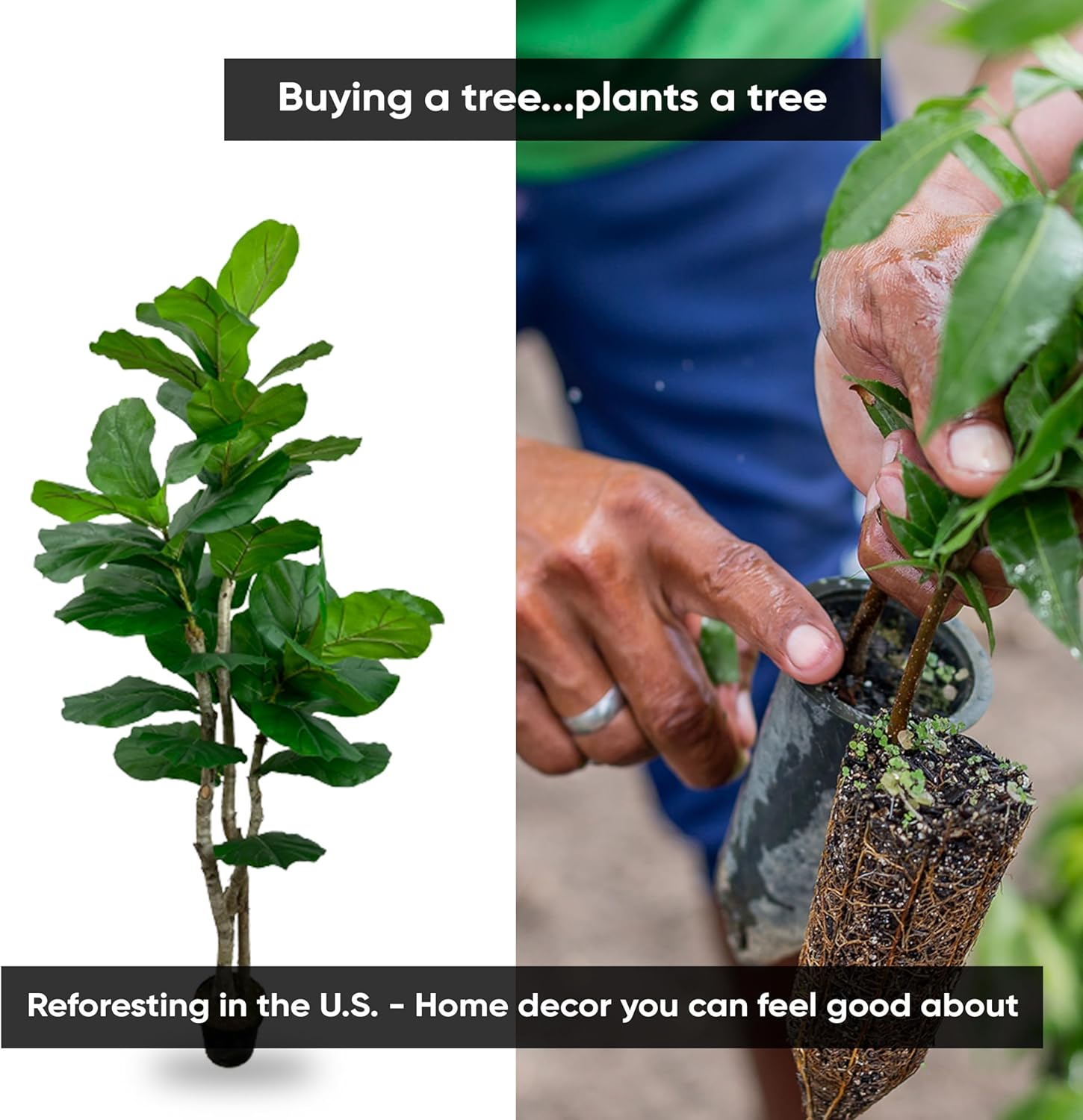 Cypress & Alabaster Handmade 6ft Oversized Fiddle Leaf Fig Ficus Lyrata Artificial Tree with Ethically Sourced Real Wood Trunks, Hypoallergenic, 6-Foot, Green