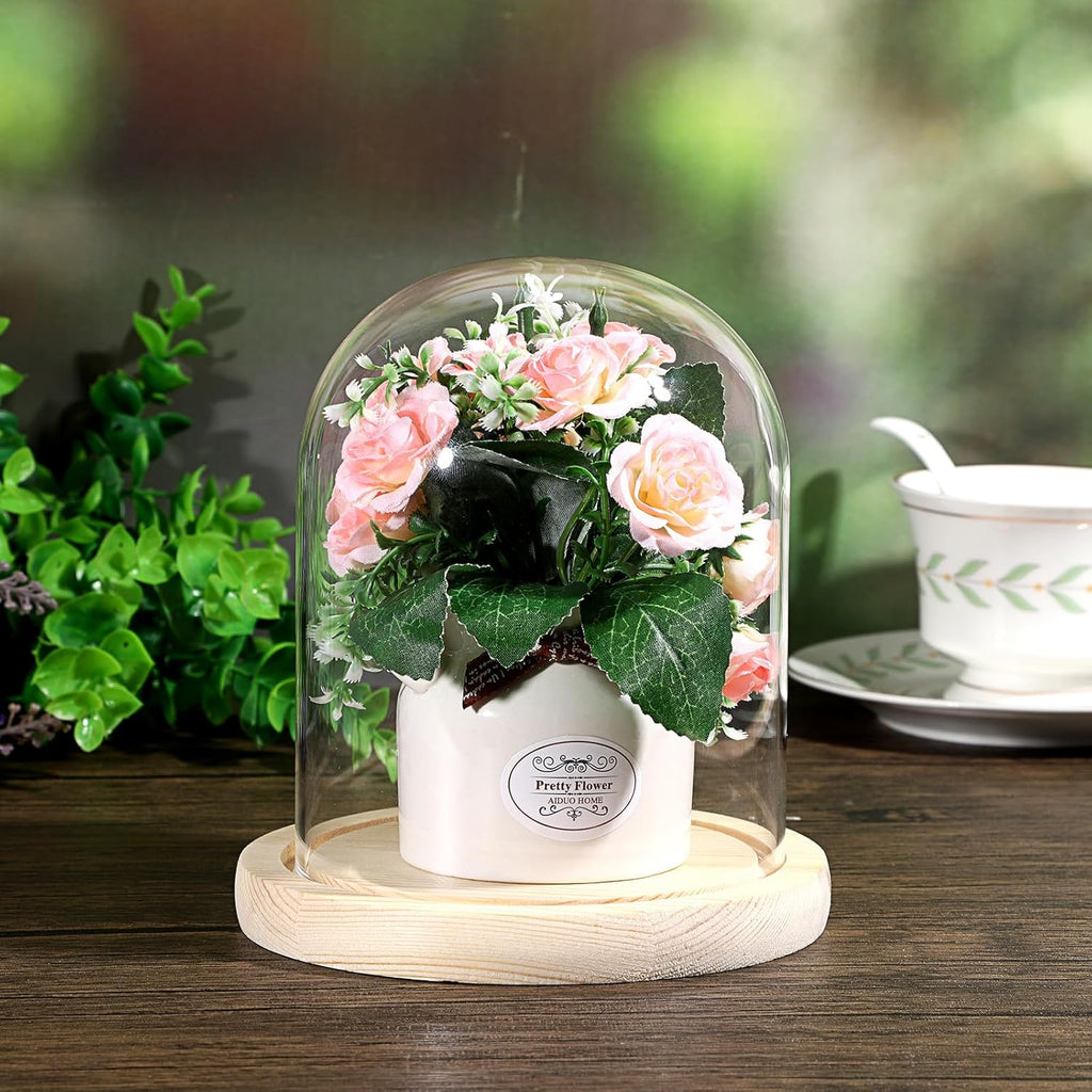 JUXYES Clear Glass Display Dome Cloche with Solid Wood Base, Transparent Dome Cloche Bell Terrarium Jar Glass Dustproof Display Stand for Plants, Collectibles and Figurines