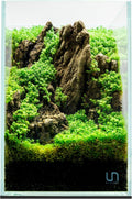 UNS Ultra Clear Rimless Tank - 3.1GAL | 12L - 7.87x7.87x11.81 | 20x20x30 CM, 5mm Glass Thickness, Leveling Mat Included - Low Iron, High Clarity Fish Tank w/ 45° Mitered Edge - [20T]
