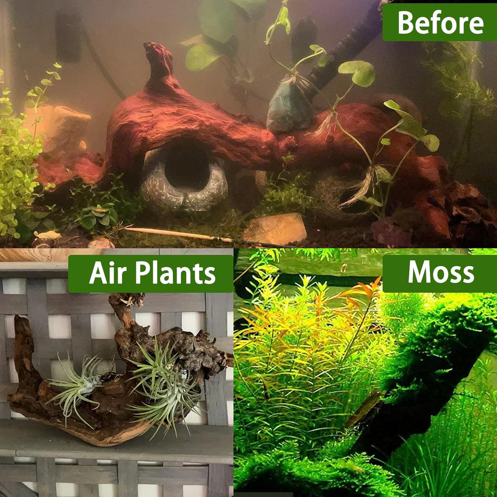 Tfwadmx Natural Driftwood Aquarium Decor Wood Branches, 3 Pieces 7-9.5" Fish Tank Driftwood Decoration, Terrarium Mopani Wood for Aquarium Freshwater Reptile Tank