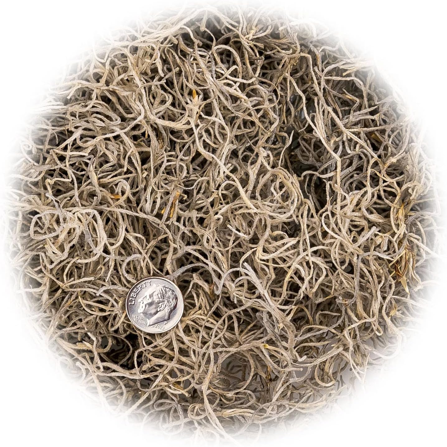 Gardenera Premium Natural Spanish Moss | Natural Preserved - Great Ground Cover - Filler for Potted Plants - 3 Quart Bag