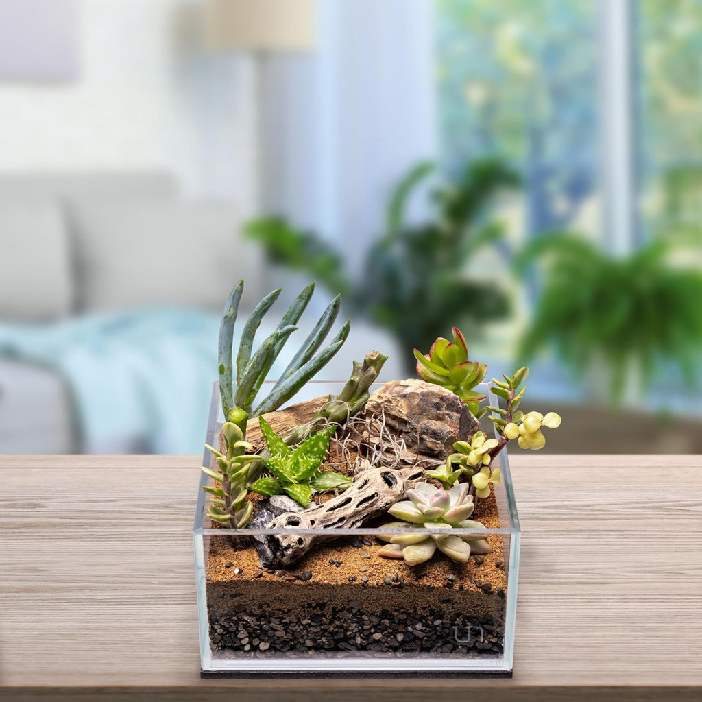 SubstrateSource Natural Cholla Wood - Driftwood for Aquariums, Air Plant Base, Hermit Crab and Freshwater Shrimp Hideout, Fish Tank Decoration, Chinchilla Chews, Reptile Habitat Wood - 4 Inch, 3pc