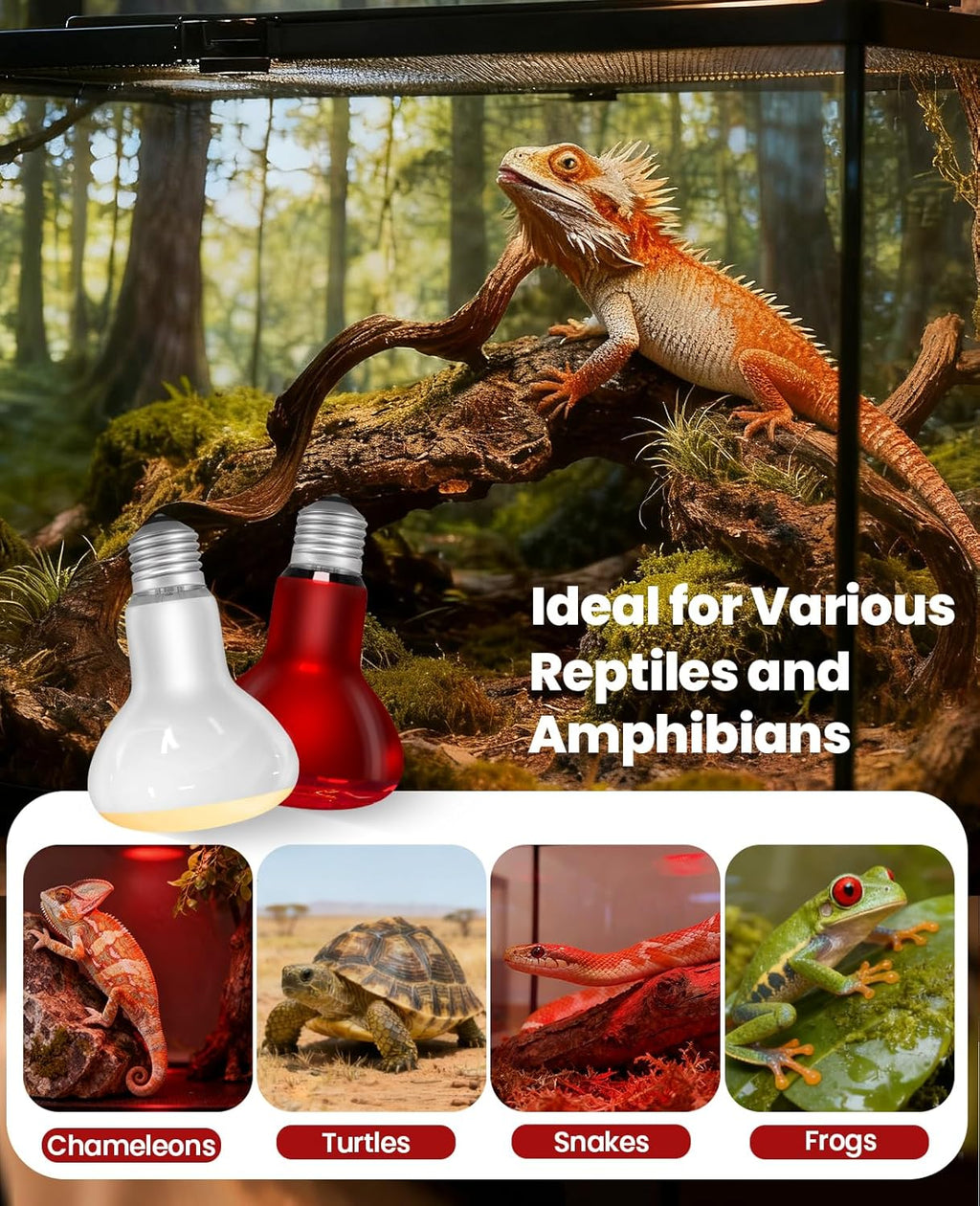 KINDEEP 75W Reptile Heat Lamp Bulbs: Reptile Day & Night Basking Spot Bulb Combo Amphibian Infrared Heat Lamp Bulb - UVA Basking Spot Daylight Heating Light Bulb for Lizard Tortoise Snake