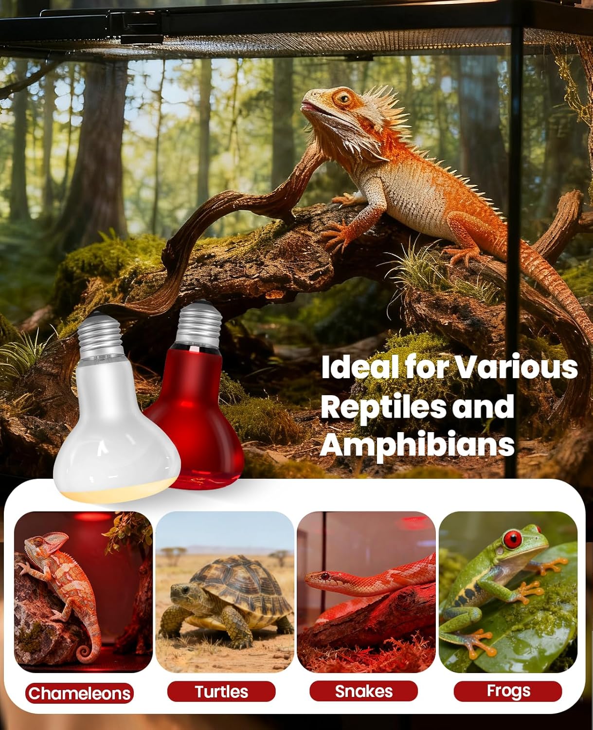 KINDEEP 50W Reptile Heat Lamp Bulbs: Reptile Day & Night Basking Spot Bulb Combo Amphibian Infrared Heat Lamp Bulb - UVA Basking Spot Daylight Heating Light Bulb for Lizard Tortoise Snake