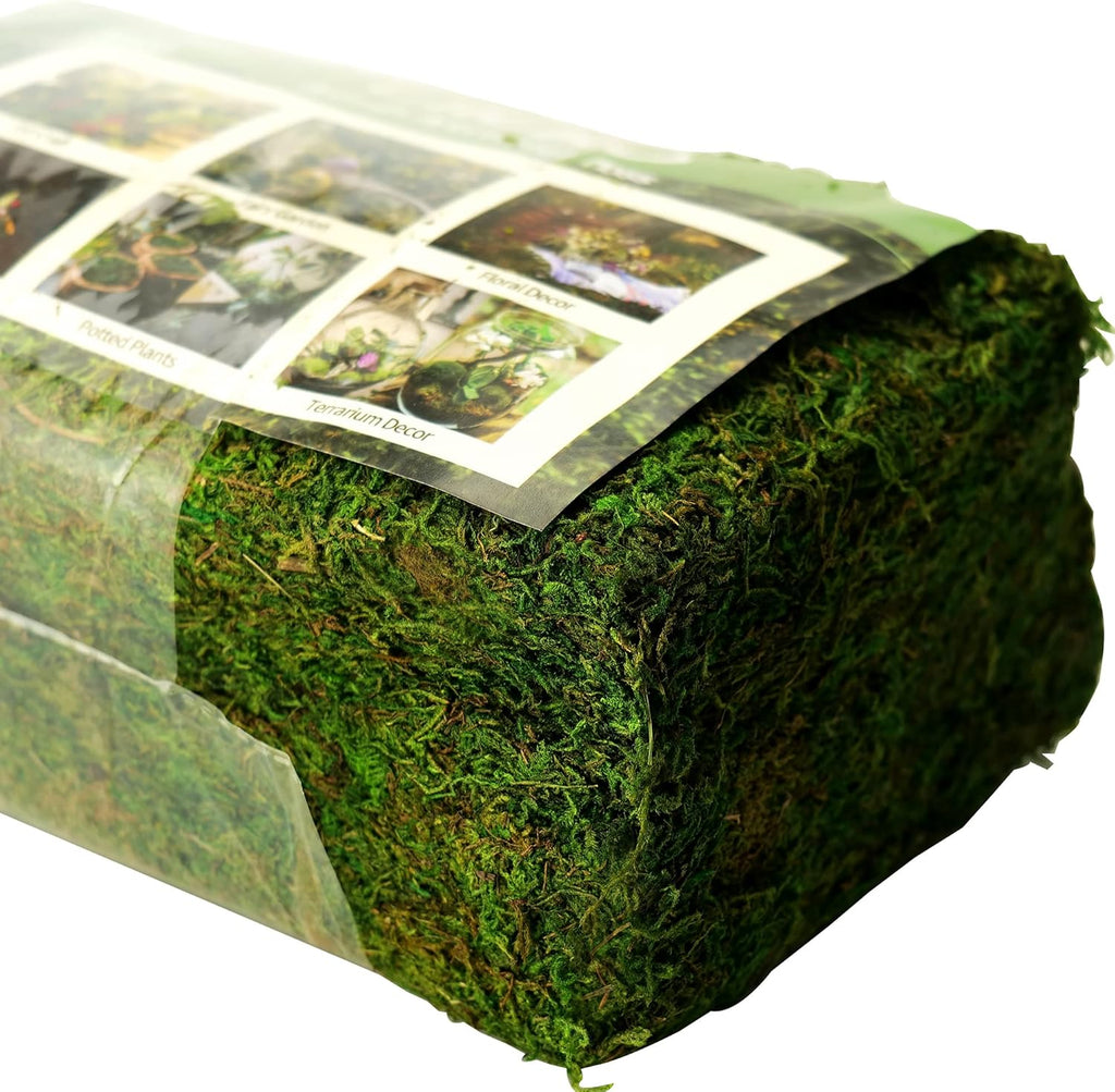 Moss for Plants Indoor, 16OZ Fresh Green Artificial Moss for DIY Crafts, Table Centerpieces- Faux Grass for Hamsters Micro-Landscape Terrariums Centerpieces Decor (Fresh Green)