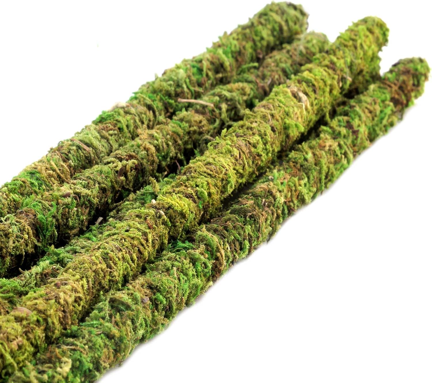 Galápagos (05322) Mossy Terrarium Sticks (6 Pack), 32"