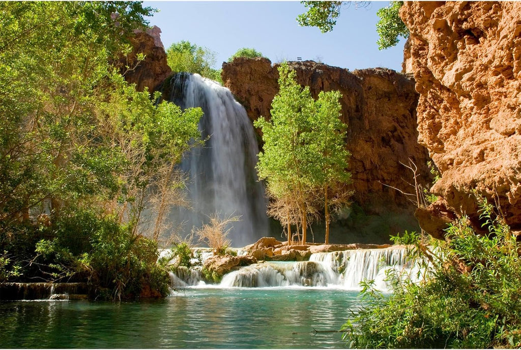 Waterfall Aquarium Background Natural Jungle Forest Landscape Terrarium Background Tranquil Lake Stream Jungle Style Fish Tank Background Mountain Falls Aquarium Backdrop Poster Vinyl 36x24in