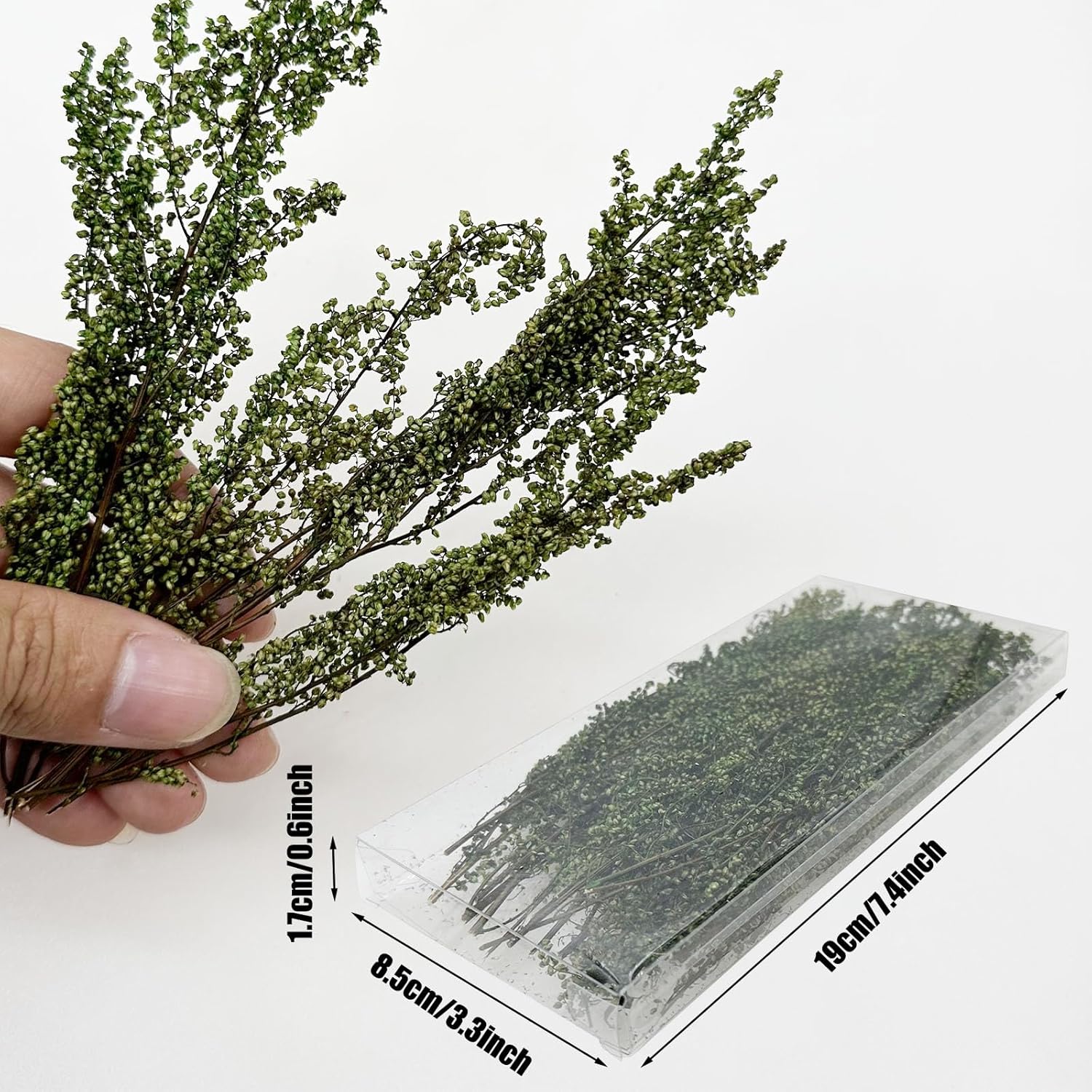 Woohome Static Grass Tuft Model Grass Tufts Railway Artificial Grass Bushy Tuft Flower Cluster Vegetation Groups for Model Train Landscape Railroad Scenery, Dark Green