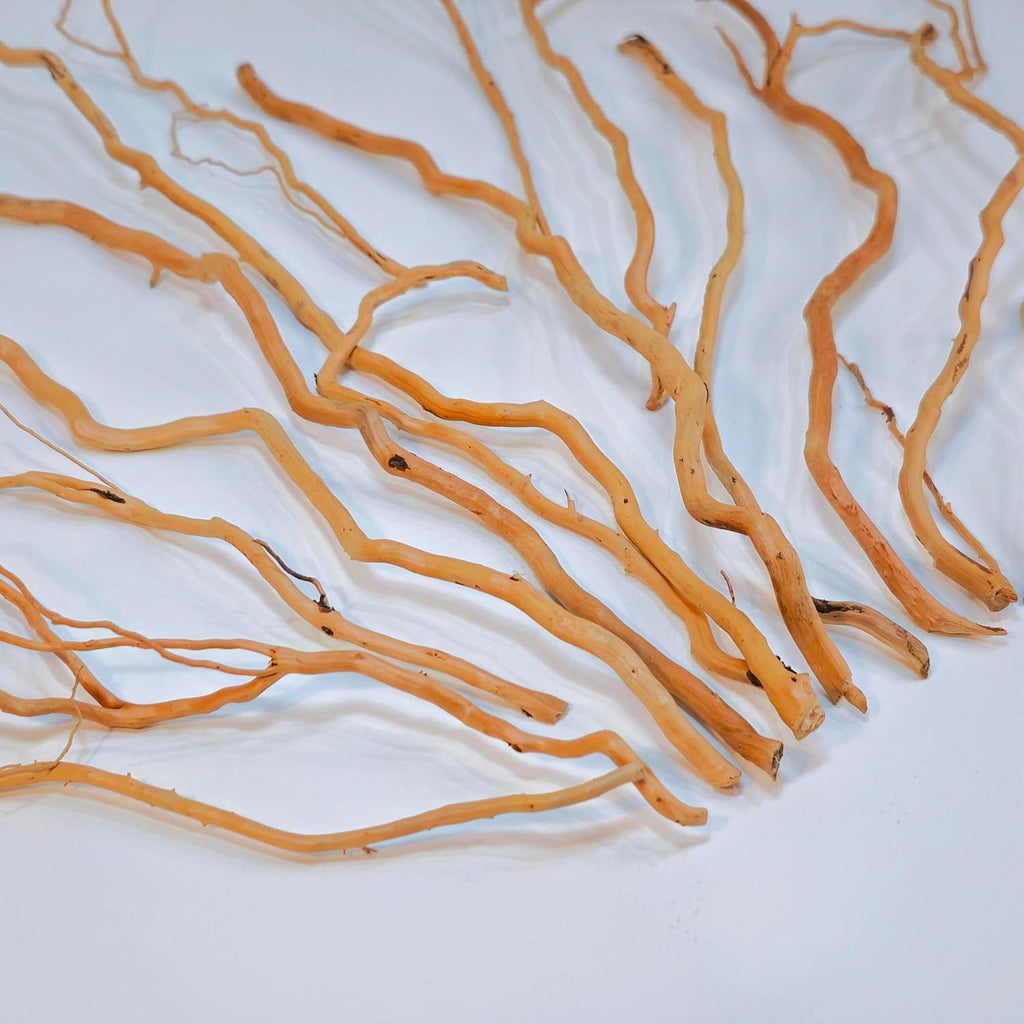 Azil Natural Aquarium Driftwood Root – Driftwood for Aquarium Decor, 250g (10″–15''), Fish Tanks, Terrariums, Aquascaping & Planted Tanks