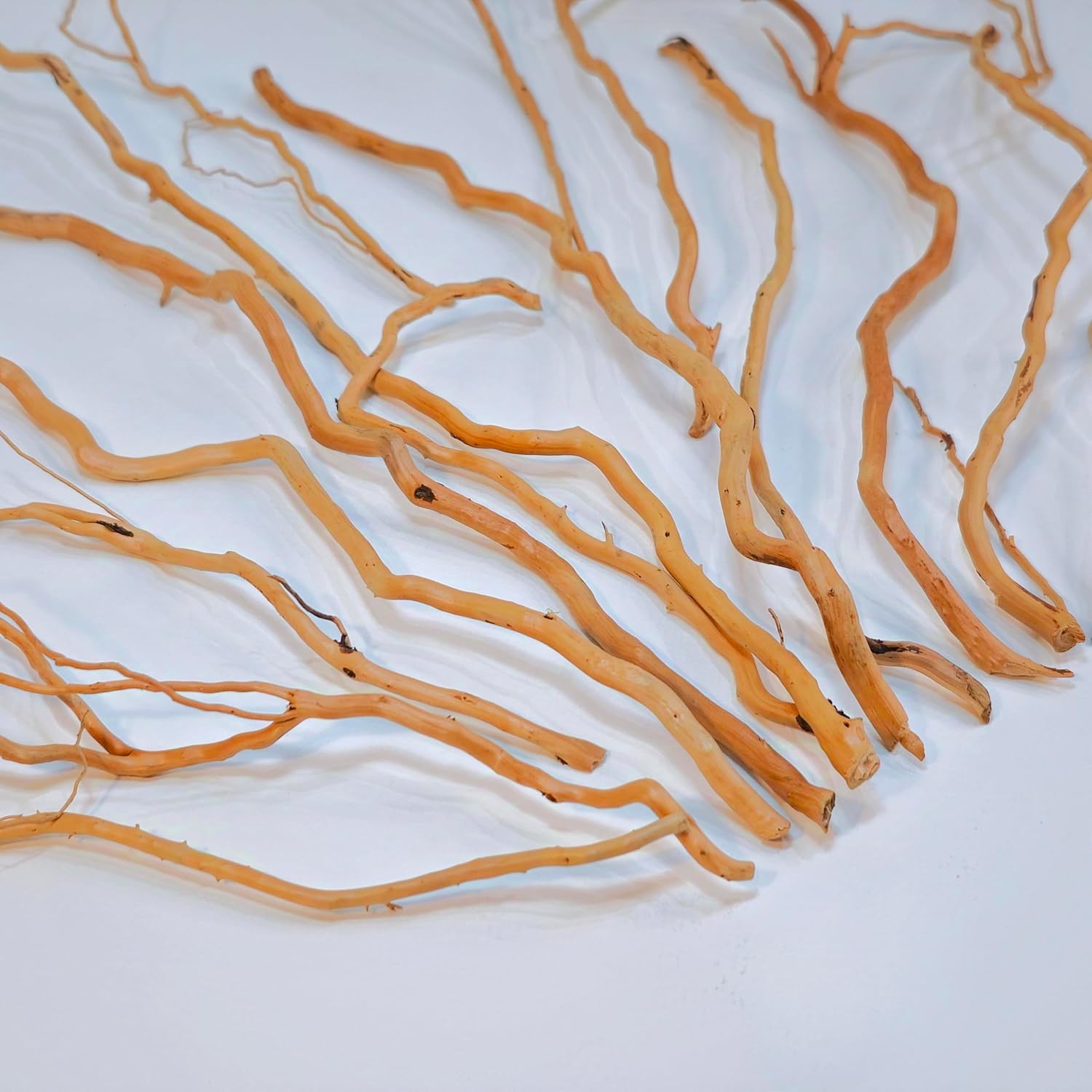 Azil Natural Aquarium Driftwood Root – Driftwood for Aquarium Decor, 250g (10″–15''), Fish Tanks, Terrariums, Aquascaping & Planted Tanks