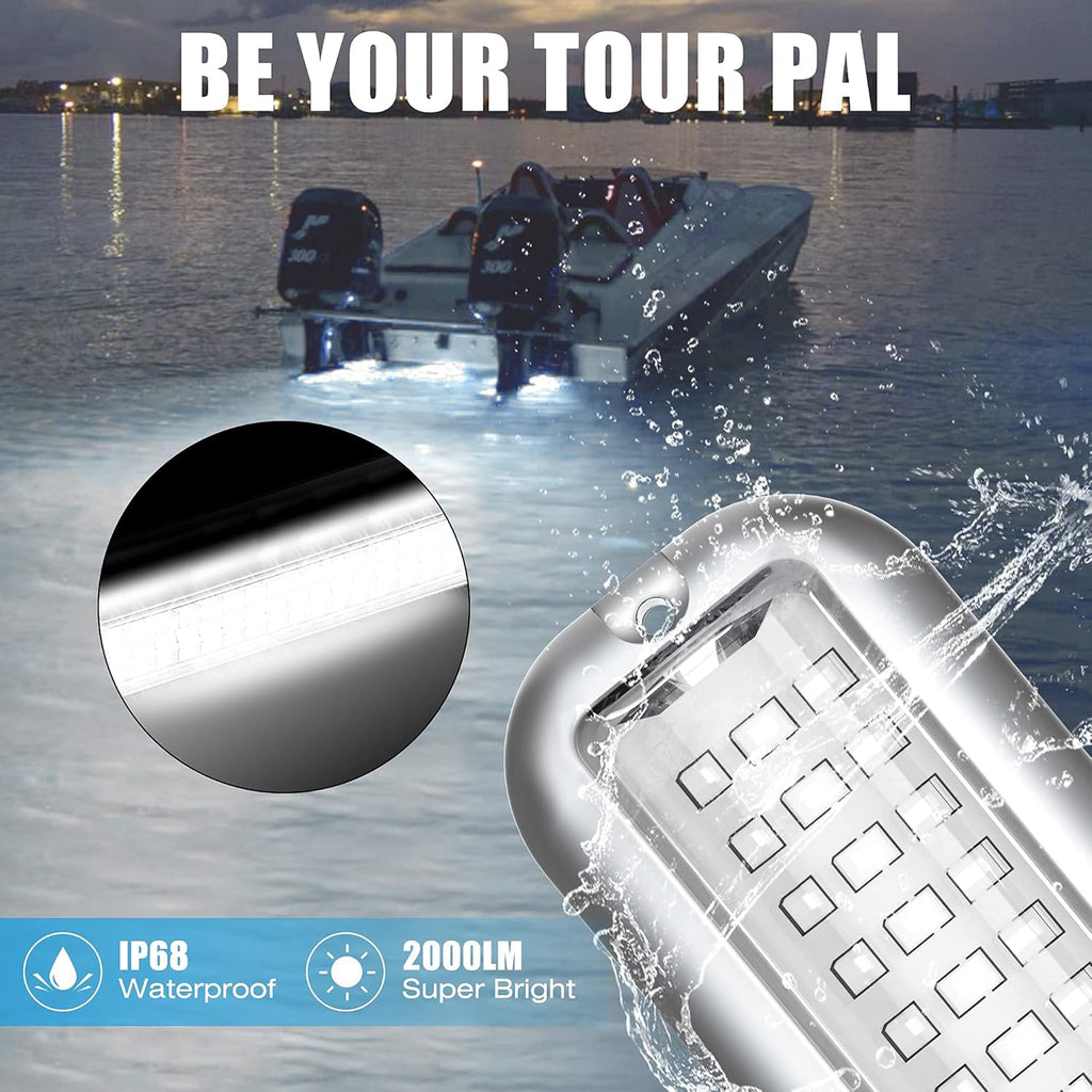 BASIKER BS3 Marine LED Boat Light (2x2000LM 60LED), 10-36V, 316 Stainless Steel, IP68, Air or Underwater, Surface Mount Designed for Cruise Ships, Yachts, Boats, Sailboat, Pontoon, Transom (White)
