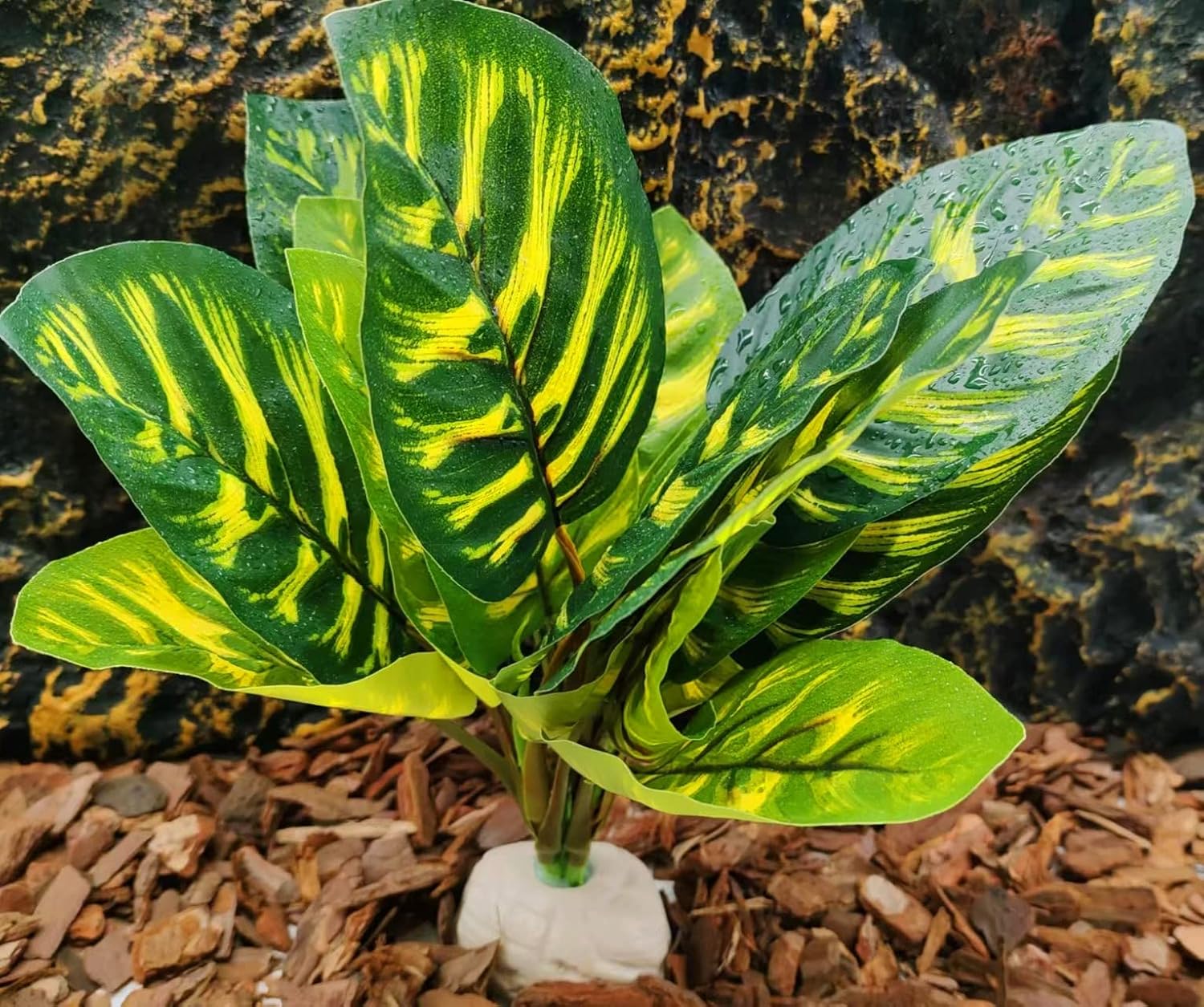 Reptile Terrarium Decor Plants,Amphibian Habitat Decor,Fake Plants for Bearded DragonTank Accessories fit Leopard Gecko Lizard Chameleon Snake Tortoise (Calathea makoyana -C)