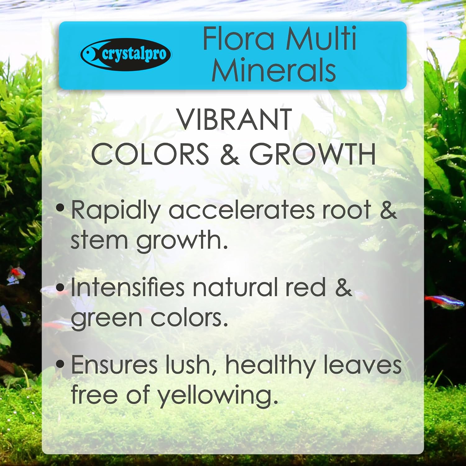 Flora Multi Minerals All in One Aquarium Plant Fertilizer - for Fast Growing Healthy Plants - Plant Food for Root and Leaf Growth- Safe for All Freshwater Livings 4.2 Oz