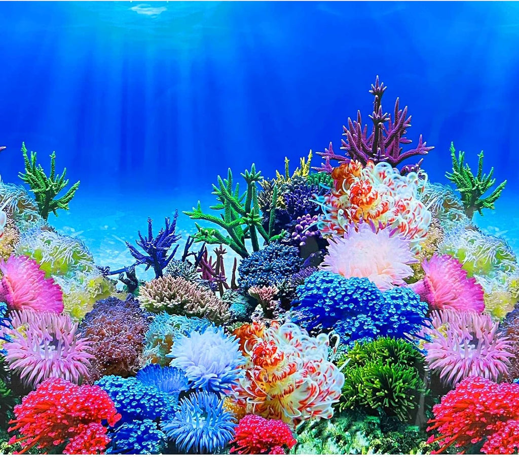 Fish Backgrounds Paper Double Sides Undersea Aquarium Background Poster Colorful Sea Anemone Fish Tank Background Sticker Decorations 16"x 33"