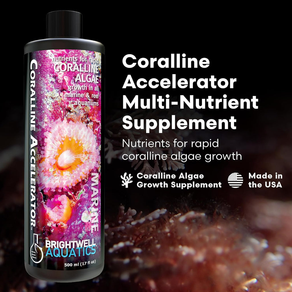 Brightwell Aquatics - Coralline Accelerator - Multi-Nutrient Supplement for Coralline Algae Growth in Marine and Reef Aquariums - Aquarium Water Treatments, 16.9 fl oz
