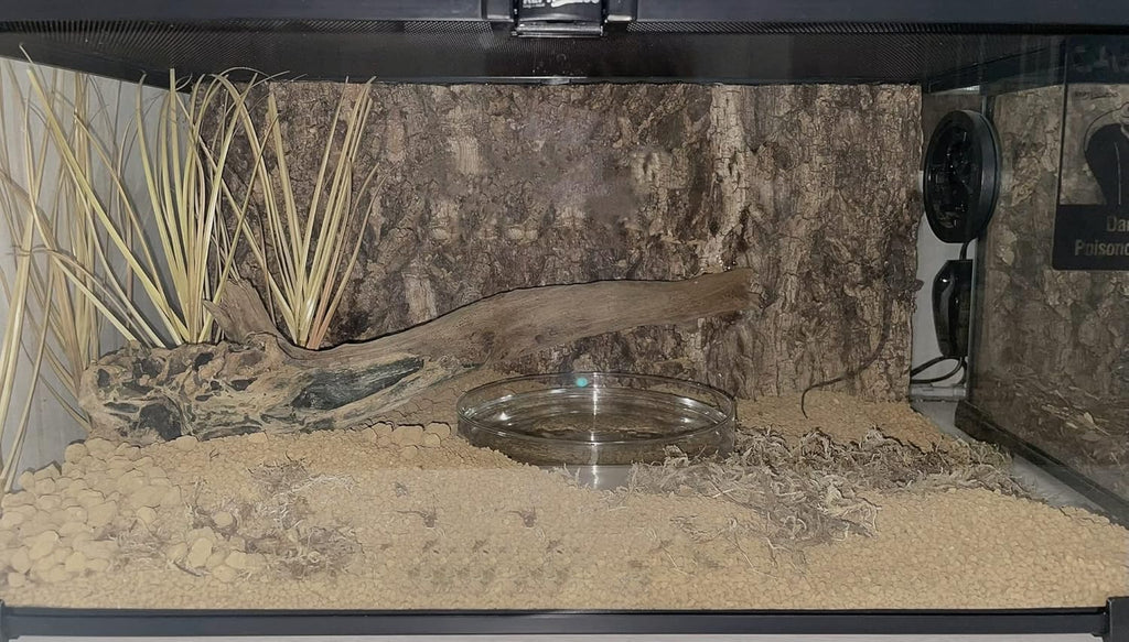 Fake Desert Dry Grass, Reptile Plants for Terrarium, Bearded Dragon Tank Accessories Habitat Decor fit Crested Gecko Leopard Lizard Chameleon Ball Python Snake