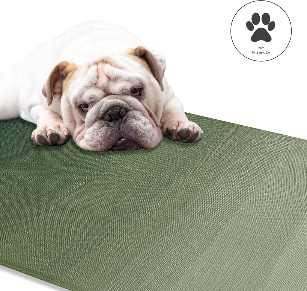 Fab Habitat Ombre Outdoor Rug - Waterproof, Fade Resistant, Crease-Free - Premium Recycled Plastic - Striped - Patio, Porch, Deck, Balcony - Big Sur - Green - 3 x 5 ft
