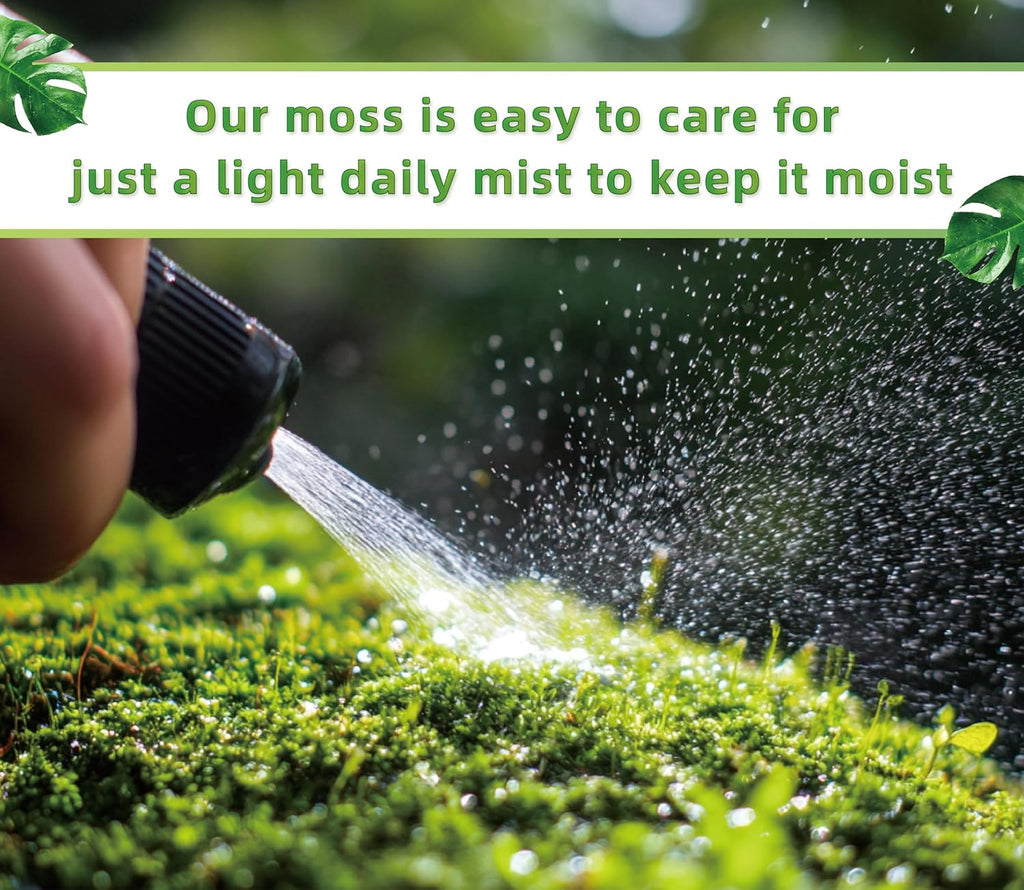 Live Moss for Reptiles - Terrarium Moss for Reptiles Peat Moss for Reptiles Habitat Bedding Moss for Snakes Turtle Frog Gecko and Other Reptiles Substrate 50 Square inches Live Moss