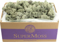 SuperMoss (25115) Reindeer Moss Preserved, Moss Green, 3lbs