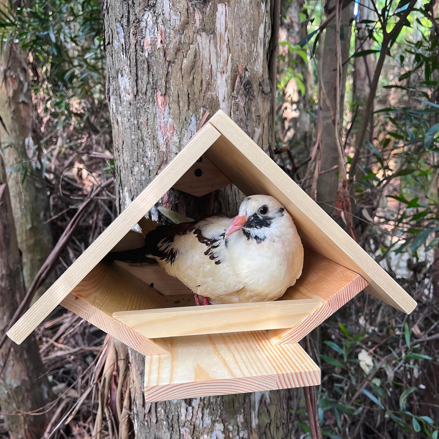 DIY Wooden Dove Nesting Box - Birdhouses for Outdoor Use, Small Birdhouses for Mourning Doves and Other Small Birds, Durable Pine Wood, by Decoribles