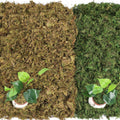 Artificial Moss - 45.86 OZ (2.89LB) - Premium Fake Moss Versatile for Crafts & Décor - Natural Look, Low Maintenance, Perfect for Fairy Gardens, Terrariums, Wedding Decor & Faux Potted Plants