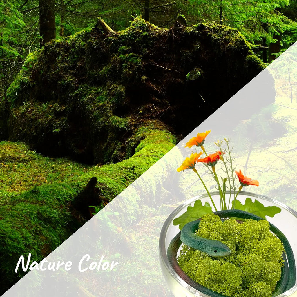 Moss Preserved Artificial Moss 8.8oz Natural Fresh Green Moss for Craft Arts Floral Project Wall Decor Table Decor Wedding Centerpieces Garden Terrariums Decoration Chartreuse