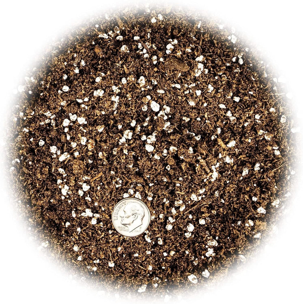 GARDENERA Premium Jade Plant Potting Soil Mix - (3 Quart Bag)
