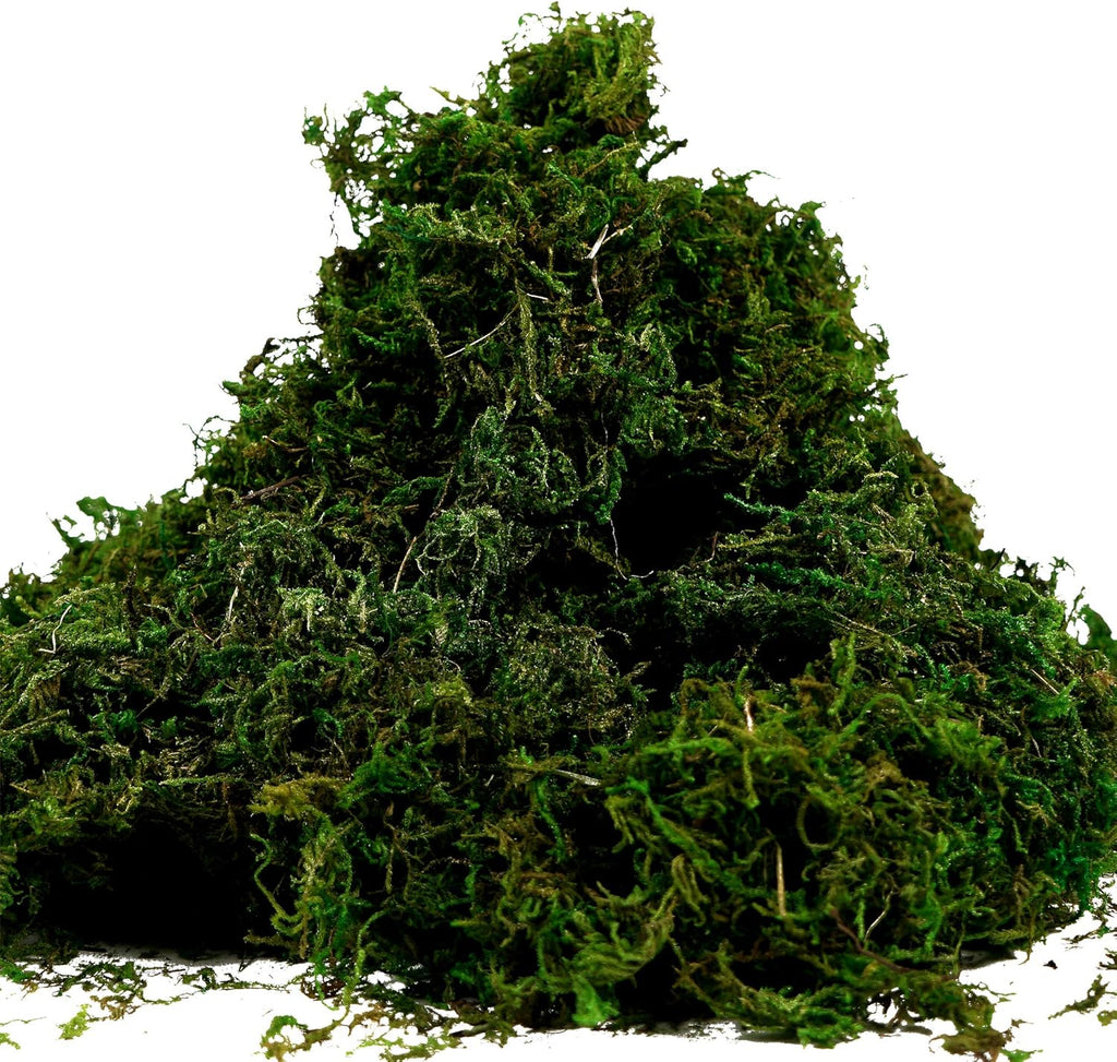 BYHER Artificial Moss Fake Green Grass for Centerpieces Home Kitchen Garden Decor (3.5OZ, Fresh)