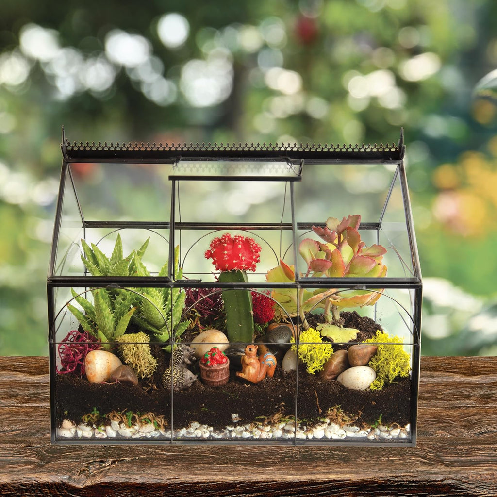 D'Eco Glass Greenhouse Centerpiece (10x4.5x9) - Tabletop Geometric Planter Terrarium - Fill with Succulents, Moss, Holiday Decorations, Mini Trees & Ornaments - Home Decor Xmas Gift for Plant Lovers