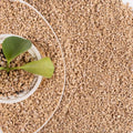 18lb Maifanitum Stones for Succulent Cactus Bonsai Decorative Rocks-Indoor Plants Soil Covers,Horticultural Gravel, Potting Pebbles for Terrarium, Fairy Gardening, Top Dressing