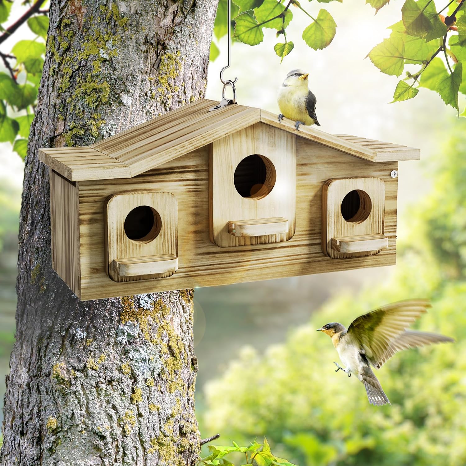 Auslar Bird House, Bird Houses for Outside for 3 Bird Families, Wooden Birdhouse for Outdoors, 3 Hole Hanging Bluebird House for Cardinals Finch Wren Swallow for Garden Viewing