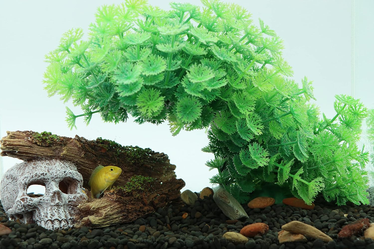 AQUA KT Aquarium Landscape Skeleton Head Skull with Tree Branch for Betta Cichlid Fish Hiding Rock Aquatic Decoration