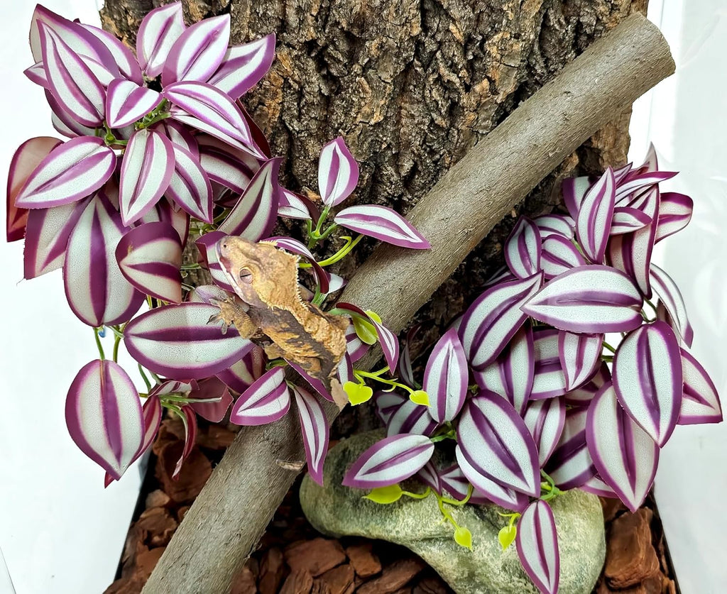 Woyrise 2 Pack Reptile Plants, Terrarium Hanging Plant Vines, Artificial Leaves with Suction Cup, Bearded Dragon Tank Accessories for Gecko Lizard Snake Frog Tortoise Decorations - Zebrina Purple