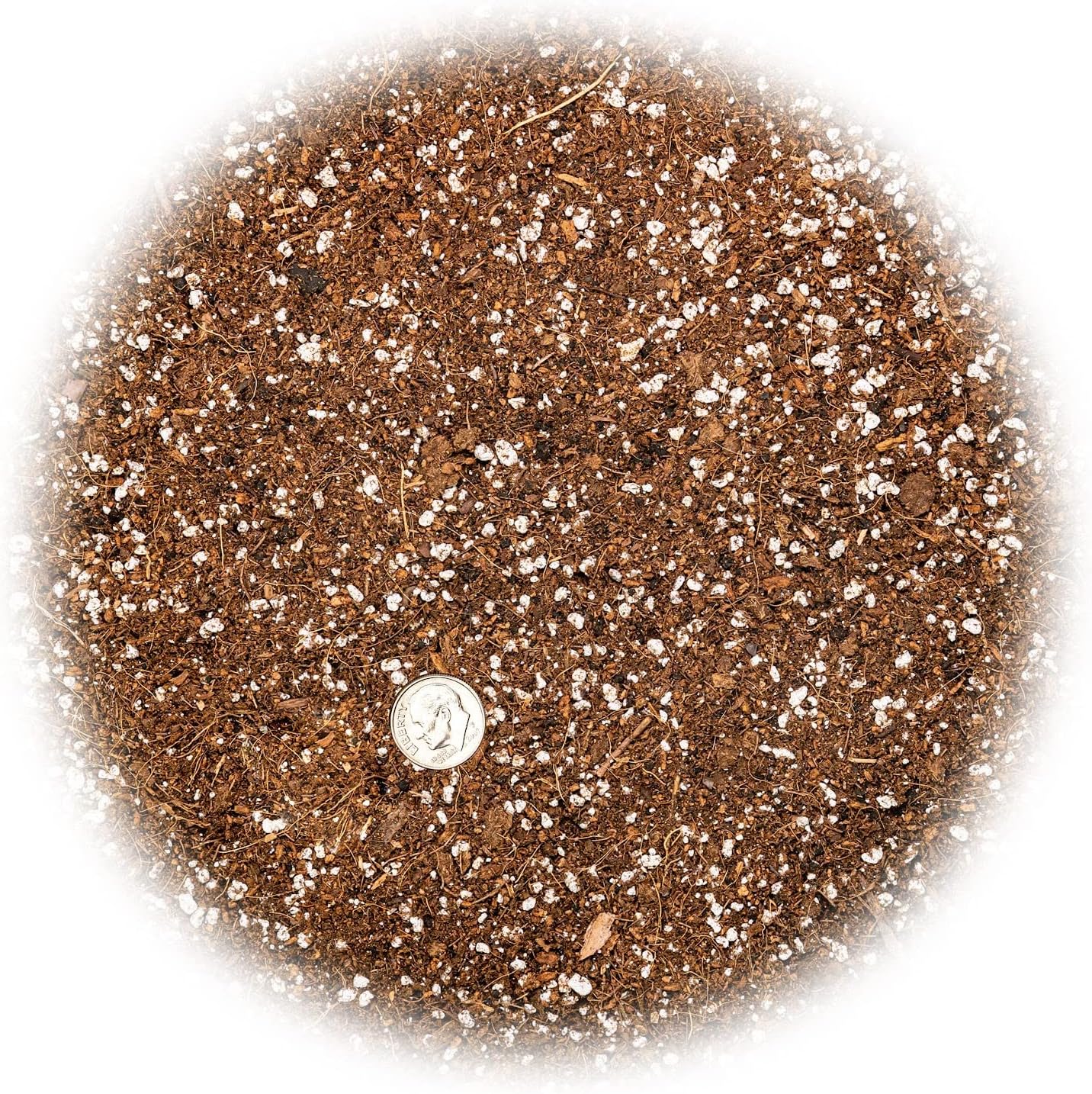 Gardenera Professional Carnivorous Plant Soil - Ready to Use for Venus Flytraps, Sundews, Pitcher Plants, Butterworts | Peat Moss, Coco Coir, Perlite - 1 Quart Bag
